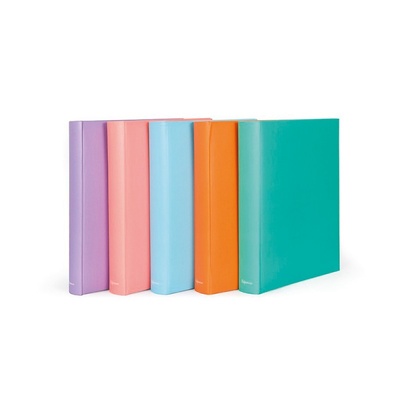 ALBUM HO MOD. 9891 DE ANILLAS COLORES SURTIDOS 