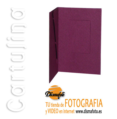 CARTERITA CARNET DU. NÂº 1 BURDEOS (100 U) 