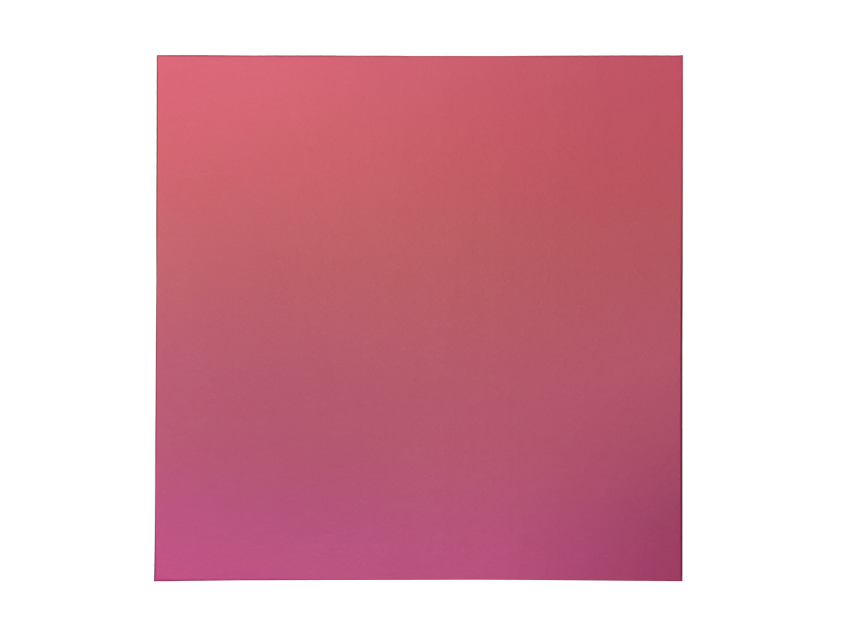 DISMA CAJA SUPER CARTON COMPLETA FUCSIA PARA ALBUM HASTA 32X32 