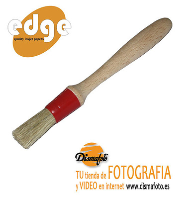 EDGE COLA BROCHA DE CONTENEDOR DE COLA MEDIANA 