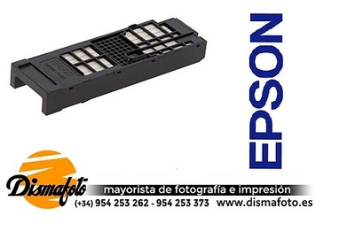 EPSON CARTUCHO MANTENIMIENTO D1000/D1000A 